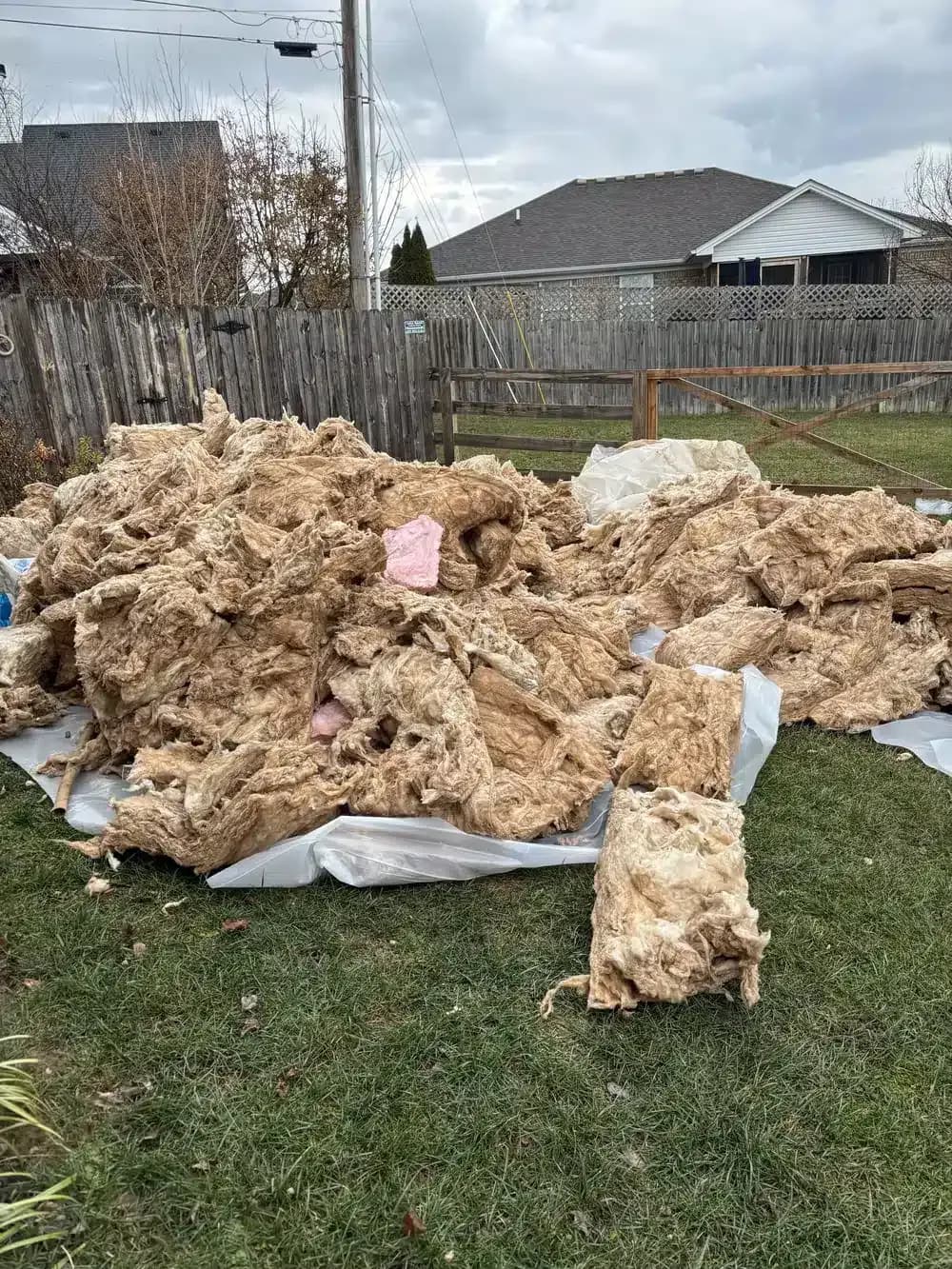 Insulation removal in Lexington, KY.